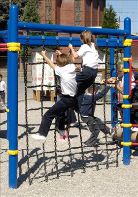 1648-8-11 Cargo Net Climber