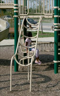 1681-4-11 Loop Climber