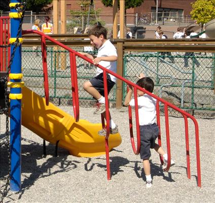 1681-4-21 Loop Climber with Handrails