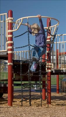 1681-5-41 Funnel Net Climber